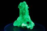 Extremely Fluorescent Hyalite Opal - Nambia #287096-1